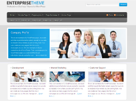 Enterprise Theme