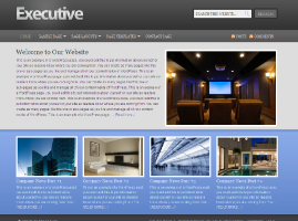 Executive Theme
