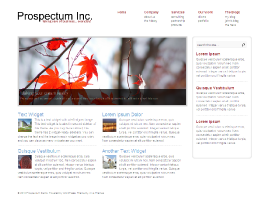 Prospectum Theme